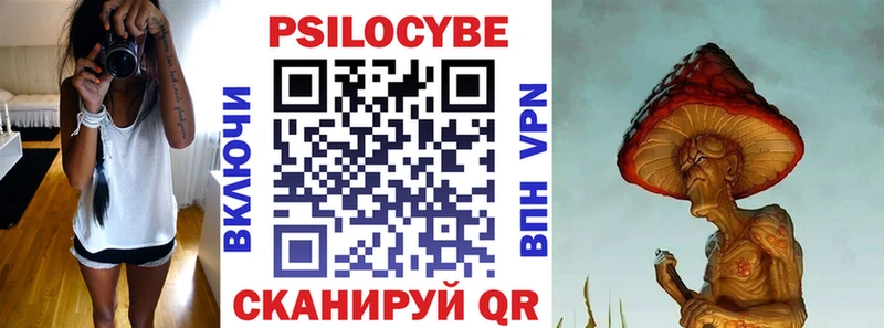 где купить наркотик  Таштагол  Псилоцибиновые грибы Psilocybe 